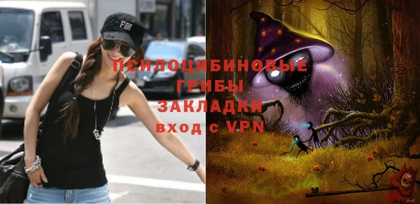 стаф Михайловка