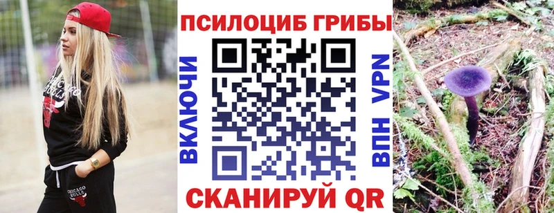 Псилоцибиновые грибы Psilocybe  купить   Томилино 